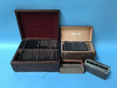 A collection of magic lantern slides, to include Primus etc.