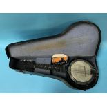 A mandolin and case