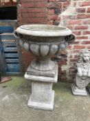 A large garden urn and stand