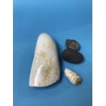 A Whales tooth, Ammonite etc.