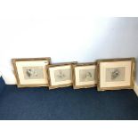 Joel Kirk, watercolour, signed, set of four of Animals