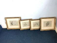 Joel Kirk, watercolour, signed, set of four of Animals