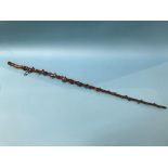 A silver topped buckthorn cane
