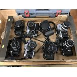 Cameras: Two Canon A-1, two Canon AE-1, Cannon F1, Cannon EOS 10 and two Nikon F (8)