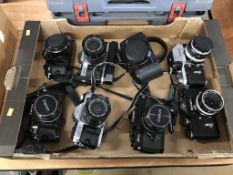 Cameras: Two Canon A-1, two Canon AE-1, Cannon F1, Cannon EOS 10 and two Nikon F (8)