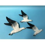 Three Beswick graduating wall mounted Seagulls