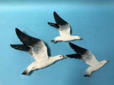 Three Beswick graduating wall mounted Seagulls