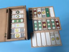 A collection of microscope slides, in fitted box