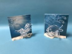 Two boxed Swarovski glass 'Wonders of the Sea' groups, 'Harmony' and 'Eternity'