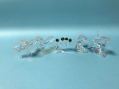 Five boxed Swarovski glass animals to include dolphins, horses, birds etc.
