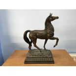 A bronze model of a Horse, 50cm height