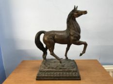 A bronze model of a Horse, 50cm height