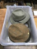 A collection of trilby hats