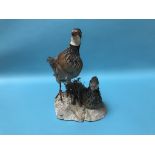 A taxidermy of two partridges