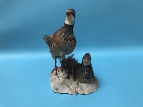 A taxidermy of two partridges