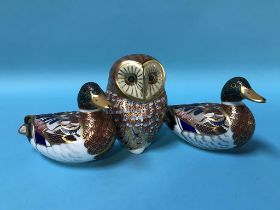 Three Royal Crown Derby paperweights