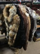 Eight fur coats