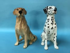 A Beswick fireside Dalmatian dog, number 2271 and Royal Doulton Labrador dog, number 2314