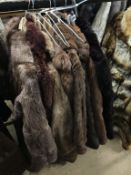 Eight fur coats