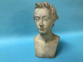 A pottery bust of a young man, H 31cm
