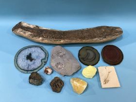 A large fossilized fish, L 62cm, a collection of Geode's etc