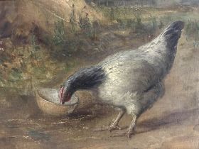 19th Century English School, unsigned, oil, 'Chicken feeding in a farmyard', 16 x 23cm