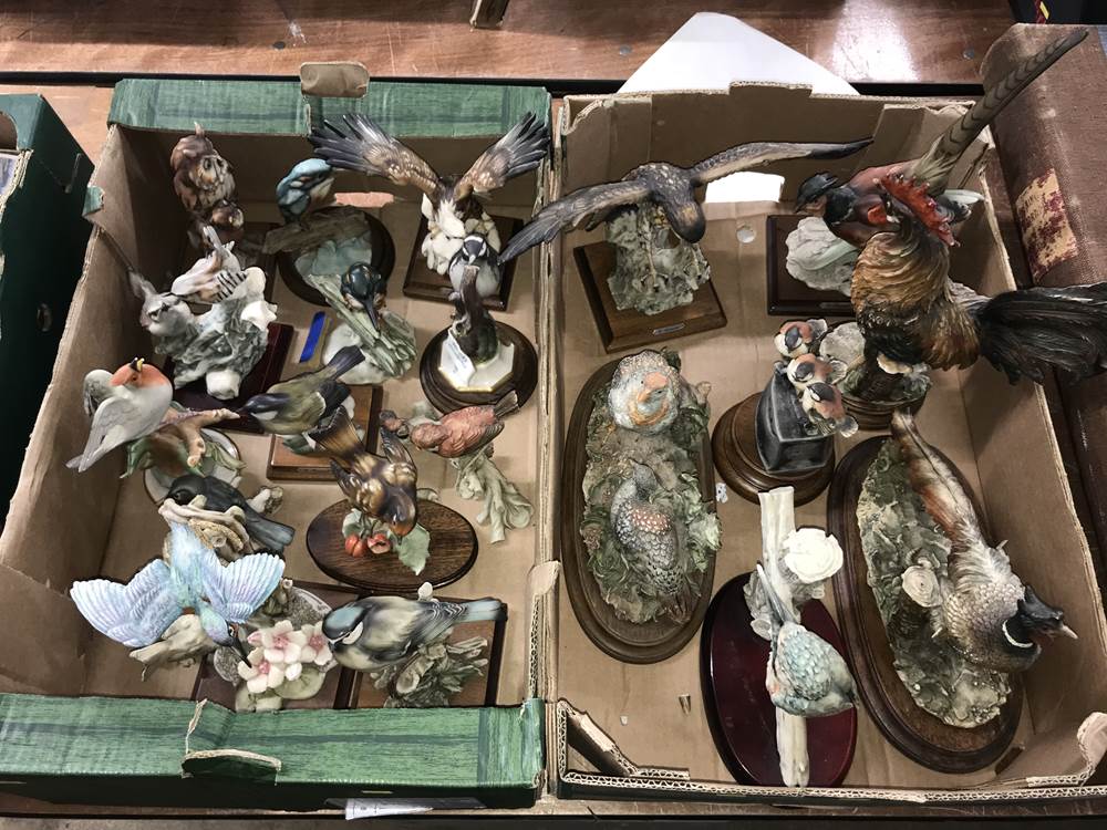 Two trays of Capo Di Monte Armani bird figures