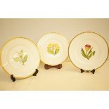 3x Royal Worcester hand painted plates tulip, lill
