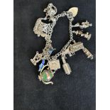 Silver charm bracelet 14 charms