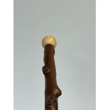 Wood & bone walking stick