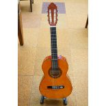 Valencia acoustic guitar with soft case