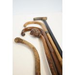 Collection of walking sticks & walking canes