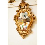 Plaster ornate gilt mirror