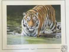 Limited edition signed print by Steven Gayford tit