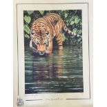 Limited edition signed print by Steven Gayford tit