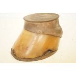 Horse Hoof 'The nut' 1910-1921