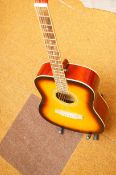 Rio acoustic guitar