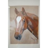 Pastel of a race horse signed & dated 1999 indisti