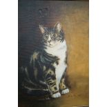 Oil on canvas study of a cat, indistinct signature