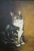 Oil on canvas study of a cat, indistinct signature