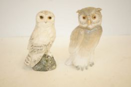 White & Makay snowy owl together with a Nao owl