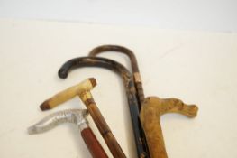 Collection of 5 walking sticks