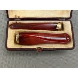 2x Early 20th century cigar/cigarette holders in o