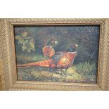 Small oil on board depicting two pheasants, indist