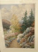 Large watercolour by Sydney P Winder rock garden A