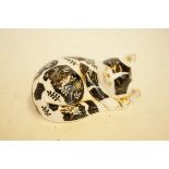 Royal crown derby misty cat