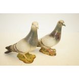 2x Beswick pigeons 1 Matt & 1 Gloss No 1383