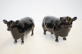 Beswick Aberdeen angus bull & cow