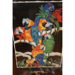 Large Parot print by Barbra Wallace