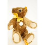 1909 Replica Steiff bear with tags & growler